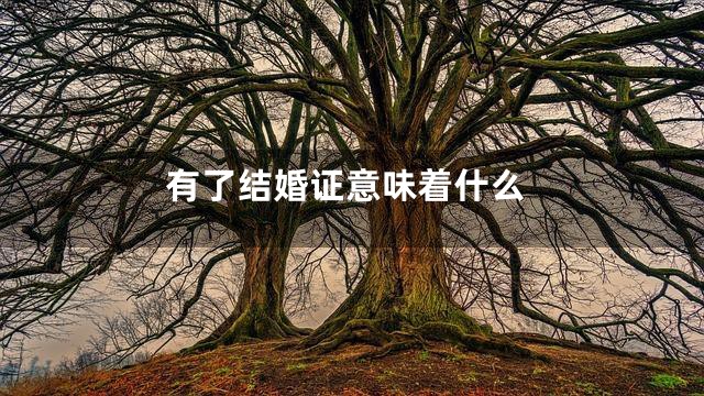 有了结婚证意味着什么