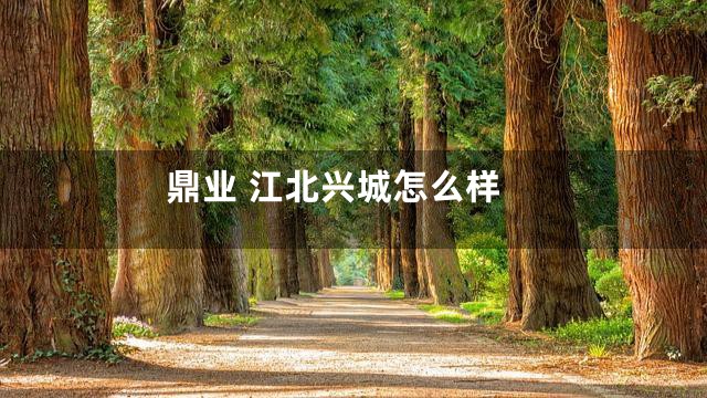 鼎业 江北兴城怎么样