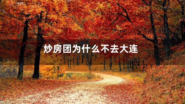 炒房团为什么不去大连