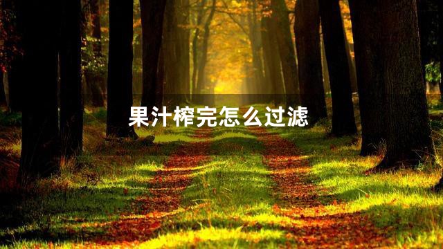 果汁榨完怎么过滤