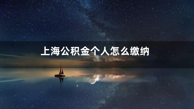 上海公积金个人怎么缴纳