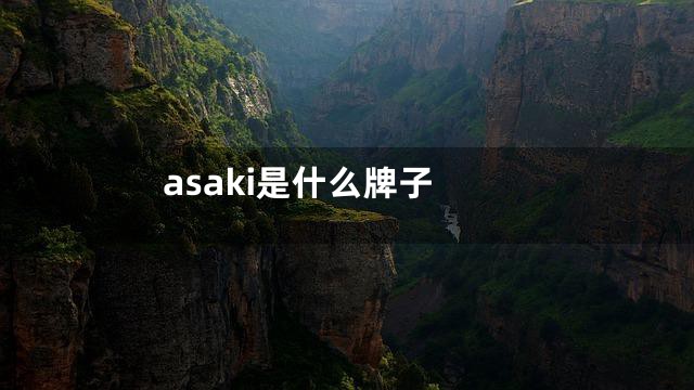 asaki是什么牌子