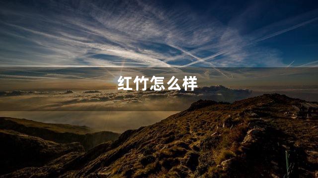 红竹怎么样
