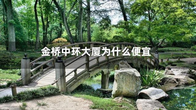 金桥中环大厦为什么便宜