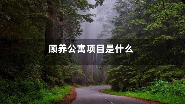 顾养公寓项目是什么