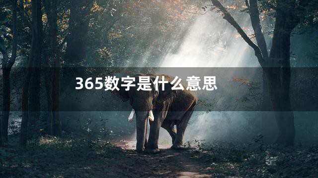 365数字是什么意思