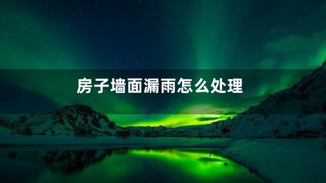 房子墙面漏雨怎么处理
