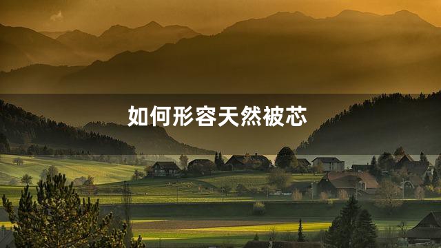 如何形容天然被芯