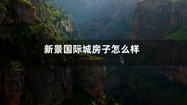 新景国际城房子怎么样