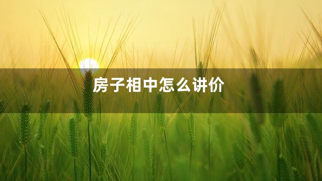 房子相中怎么讲价