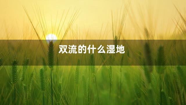 双流的什么湿地