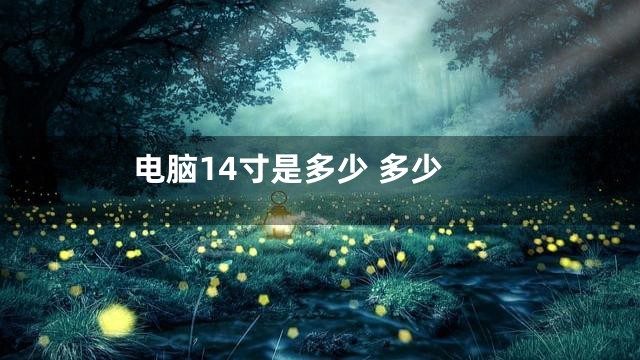 电脑14寸是多少 多少