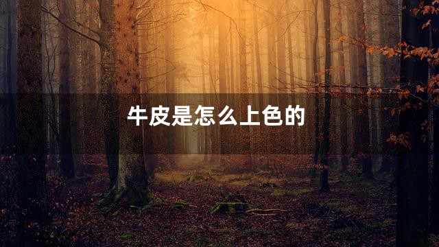 牛皮是怎么上色的