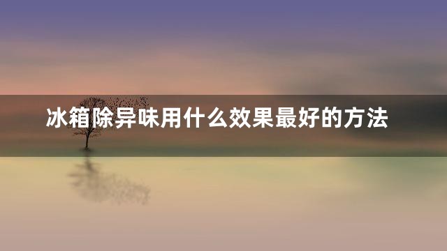 冰箱除异味用什么效果最好的方法