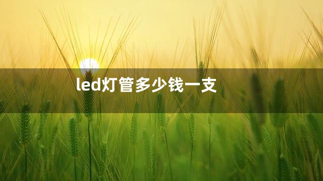 led灯管多少钱一支