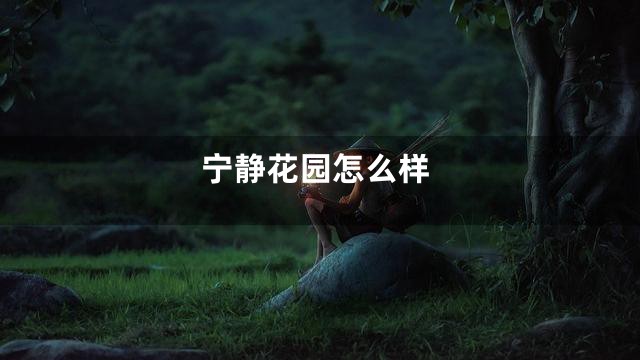 宁静花园怎么样