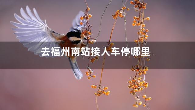 去福州南站接人车停哪里