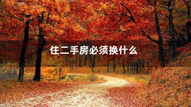 住二手房必须换什么