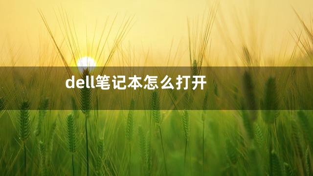 dell笔记本怎么打开