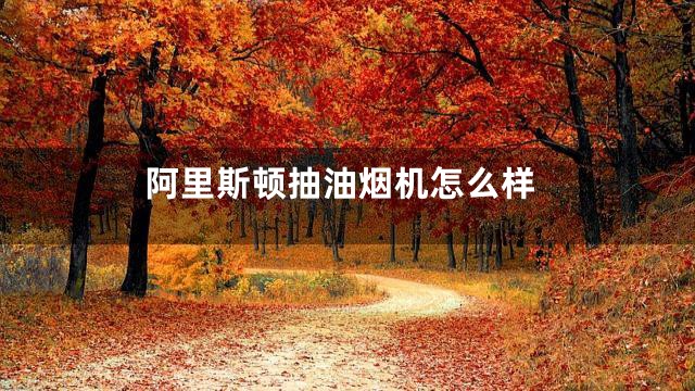 阿里斯顿抽油烟机怎么样