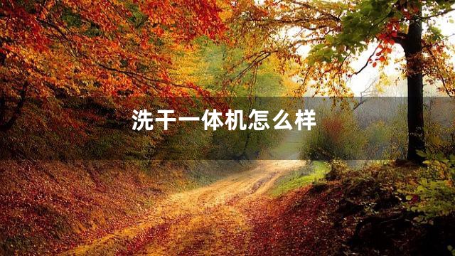 洗干一体机怎么样