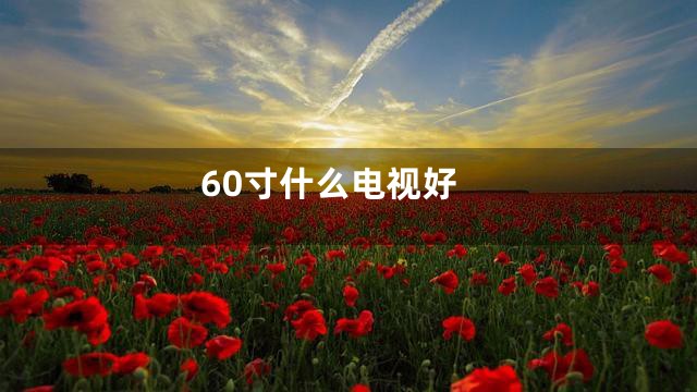 60寸什么电视好