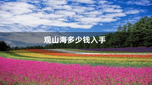 观山海多少钱入手