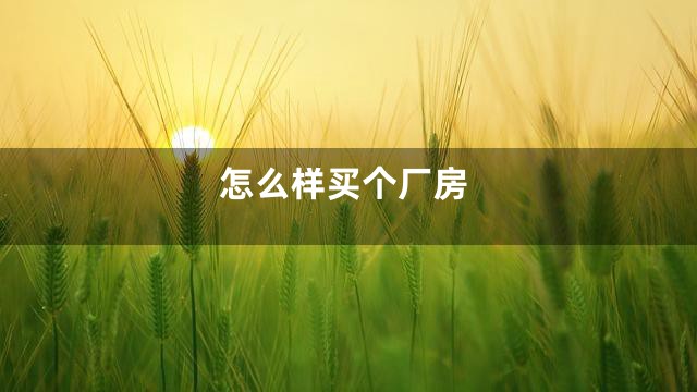 怎么样买个厂房