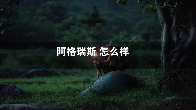 阿格瑞斯 怎么样