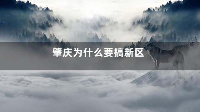 肇庆为什么要搞新区