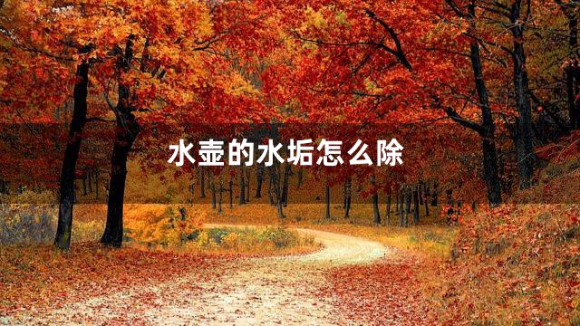 水壶的水垢怎么除