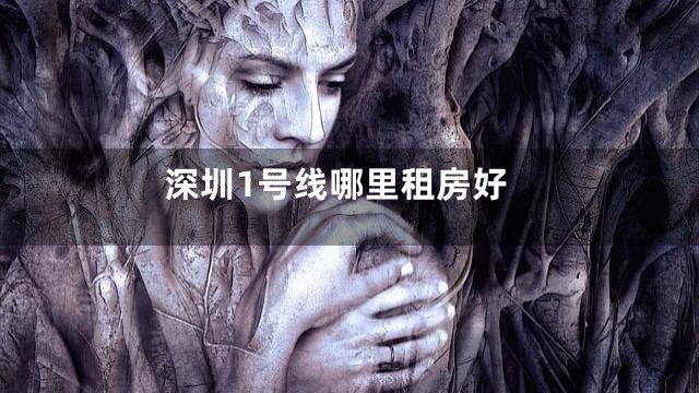 深圳1号线哪里租房好