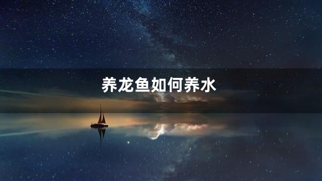 养龙鱼如何养水