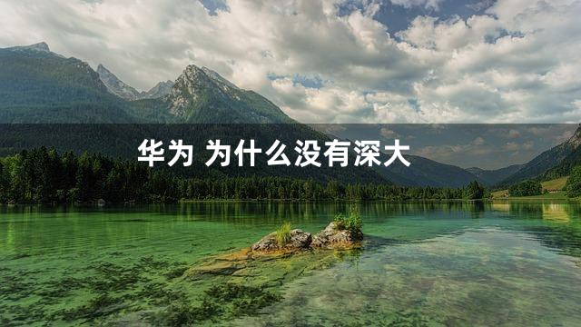 华为 为什么没有深大