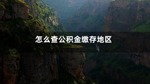 怎么查公积金缴存地区