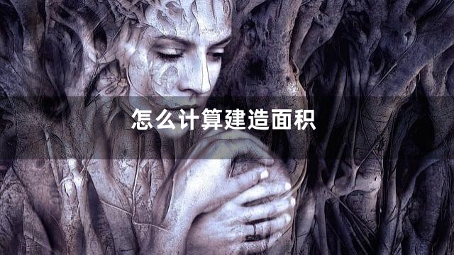 怎么计算建造面积