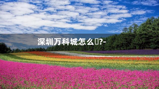 深圳万科城怎么?-