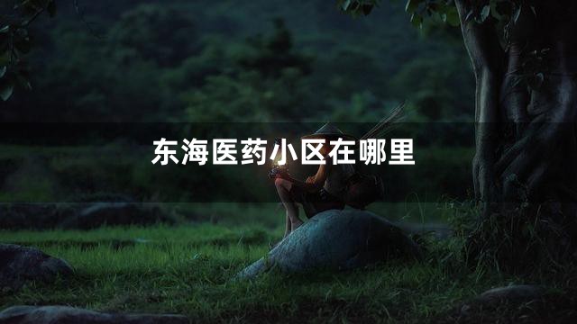 东海医药小区在哪里