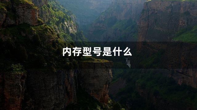 内存型号是什么