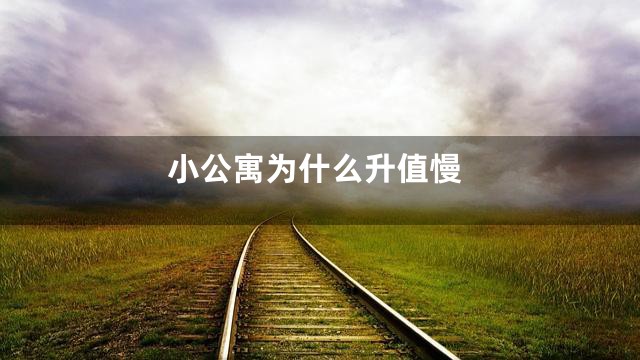 小公寓为什么升值慢