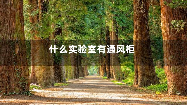 什么实验室有通风柜