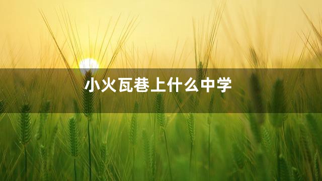 小火瓦巷上什么中学
