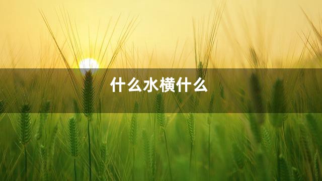 什么水横什么
