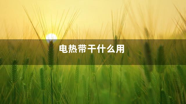 电热带干什么用