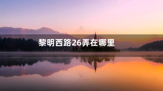 黎明西路26弄在哪里