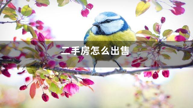 二手房怎么出售