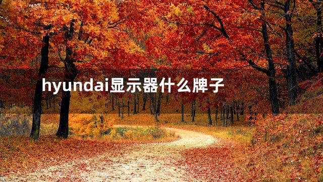 hyundai显示器什么牌子