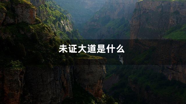 未证大道是什么