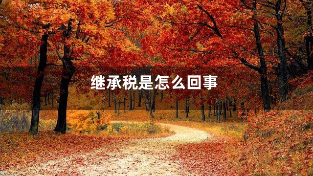 继承税是怎么回事