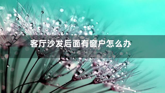 客厅沙发后面有窗户怎么办